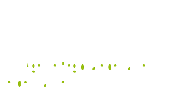 Logo ARS Blanc